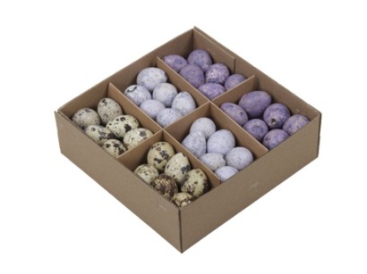 Oeuf de caille 72 st. ass. lilas