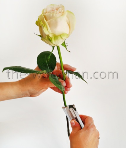 Rozen Ontdoorner Metaal