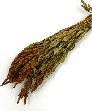 Amaranthus-oranje-droogbloemen-bloemschikken