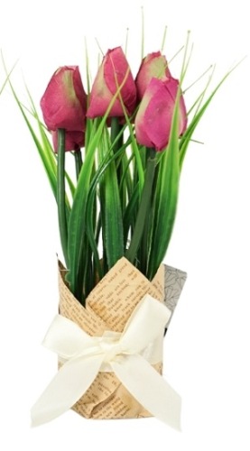 Tulpen In Cadeauverpakking Bordeaux