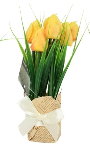 Tulpen In Cadeauverpakking Geel