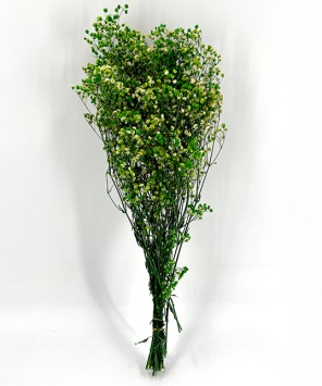 Gipskruid-Gypsophila-appel-groen-droogbloemen-bloemschikken