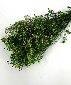 Gipskruid-Gypsophila-appel-groen-droogbloemen-bloemschikken