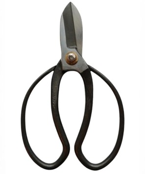 Ikebana Bonsai Schaar