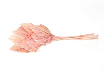 Palmspeer pastel roze 10 stuks