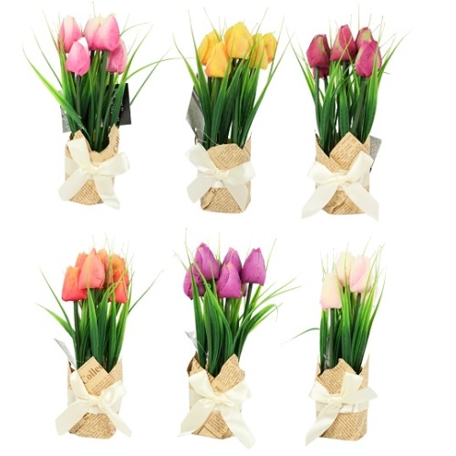 Tulpen In Cadeauverpakking Bordeaux
