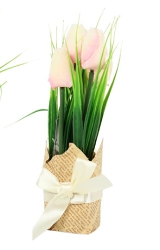 Tulpen In Cadeauverpakking Wit